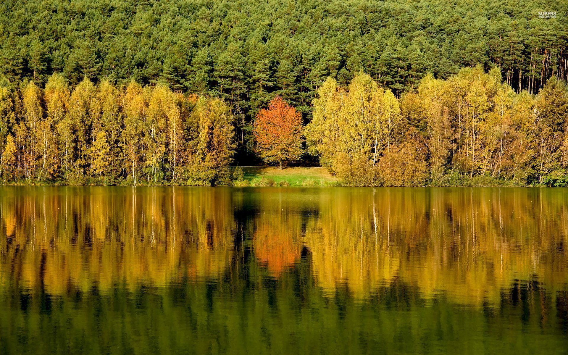 осень озеро вода отражение загрузить