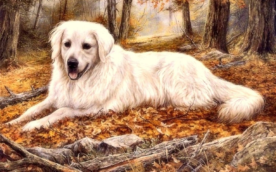 бигль и кошка