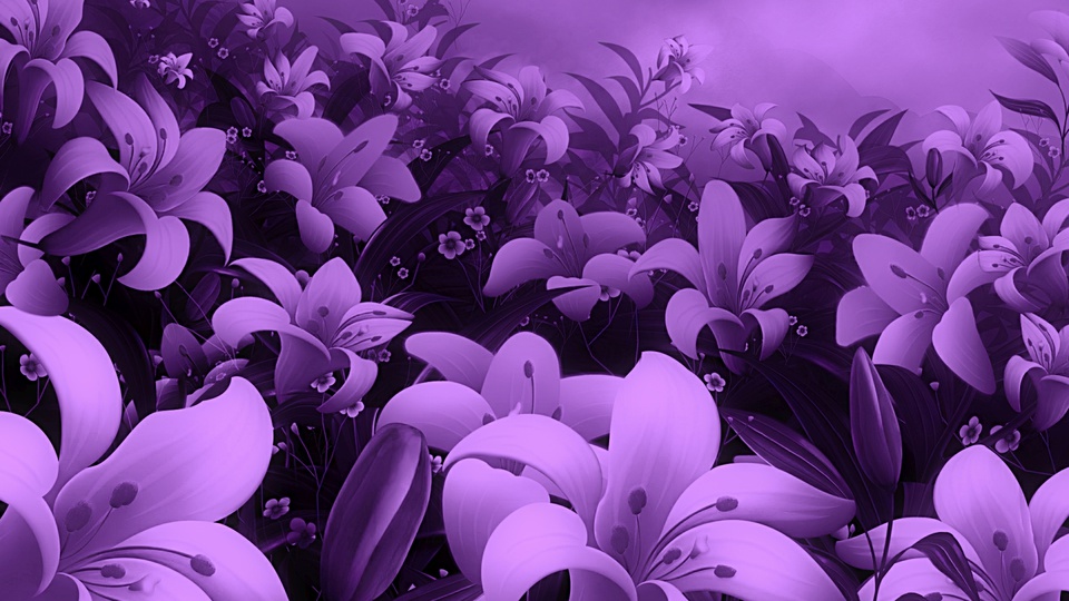 fioletovie-lilii.960x540.jpg