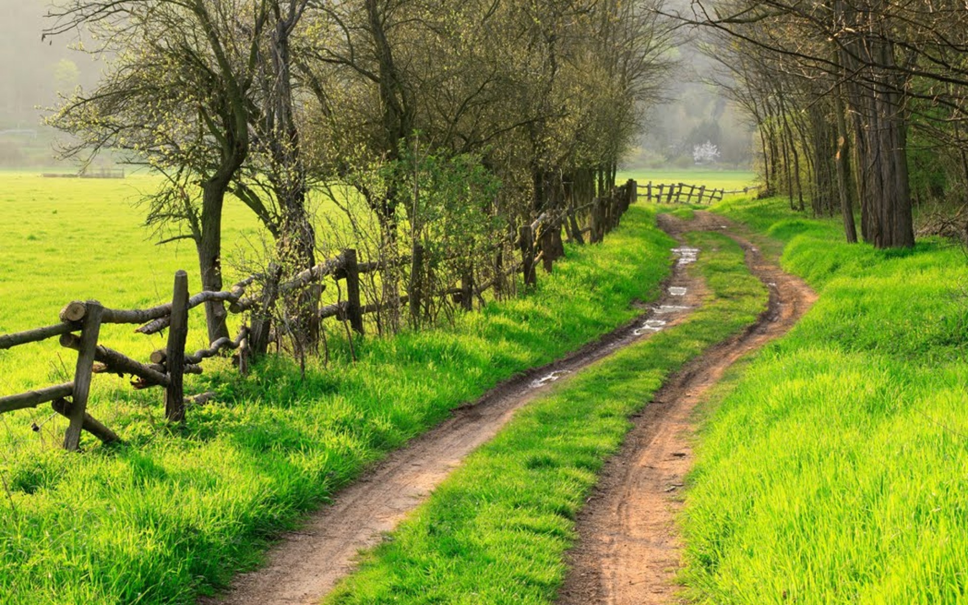 Countryside walks. Проселочная дорога. Сказочная дорога. Деревня с дорогой. Деревенская дорога.