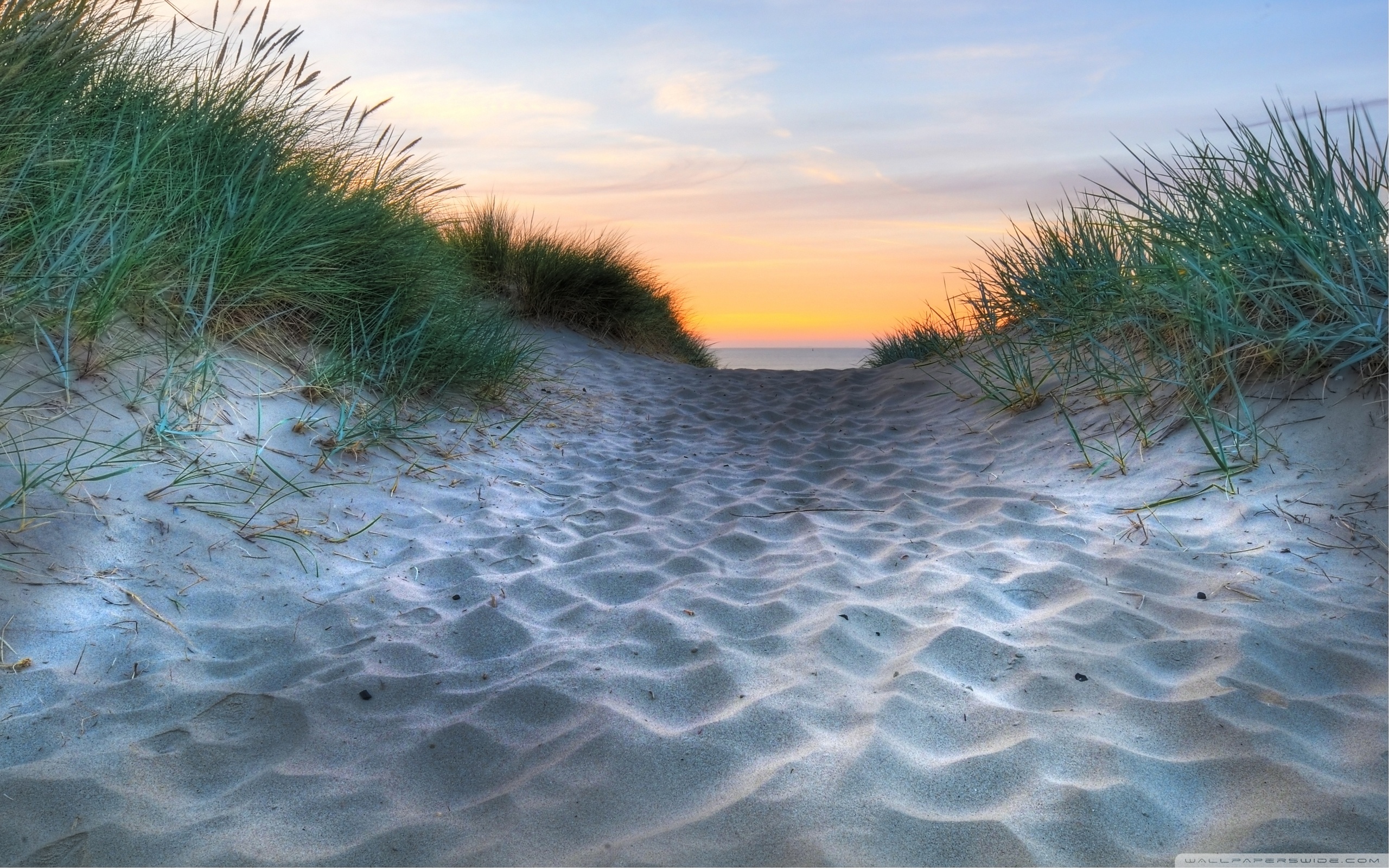 море пляж песок растительность бесплатно