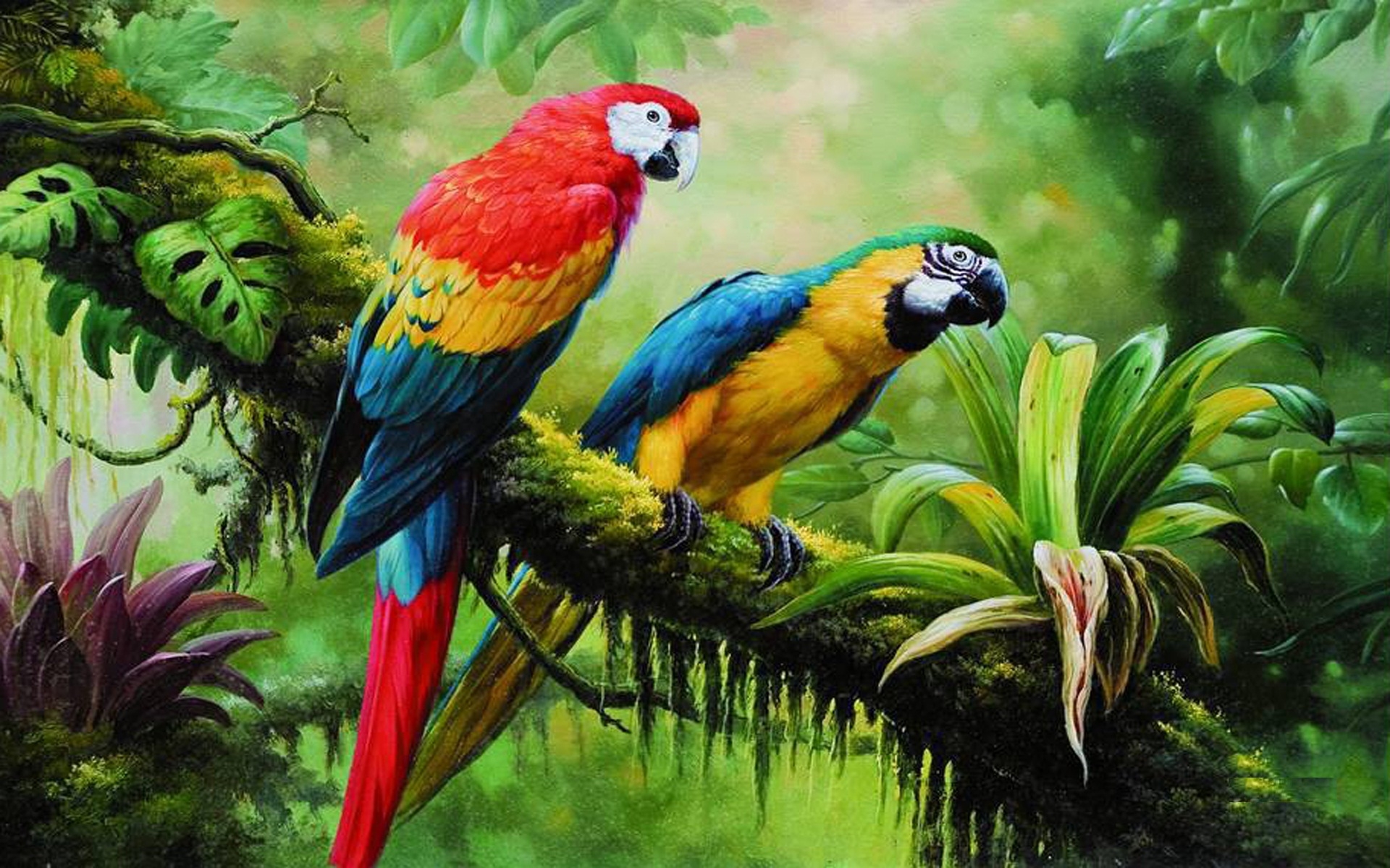 природа животные птицы попугай цветы деревья загрузить