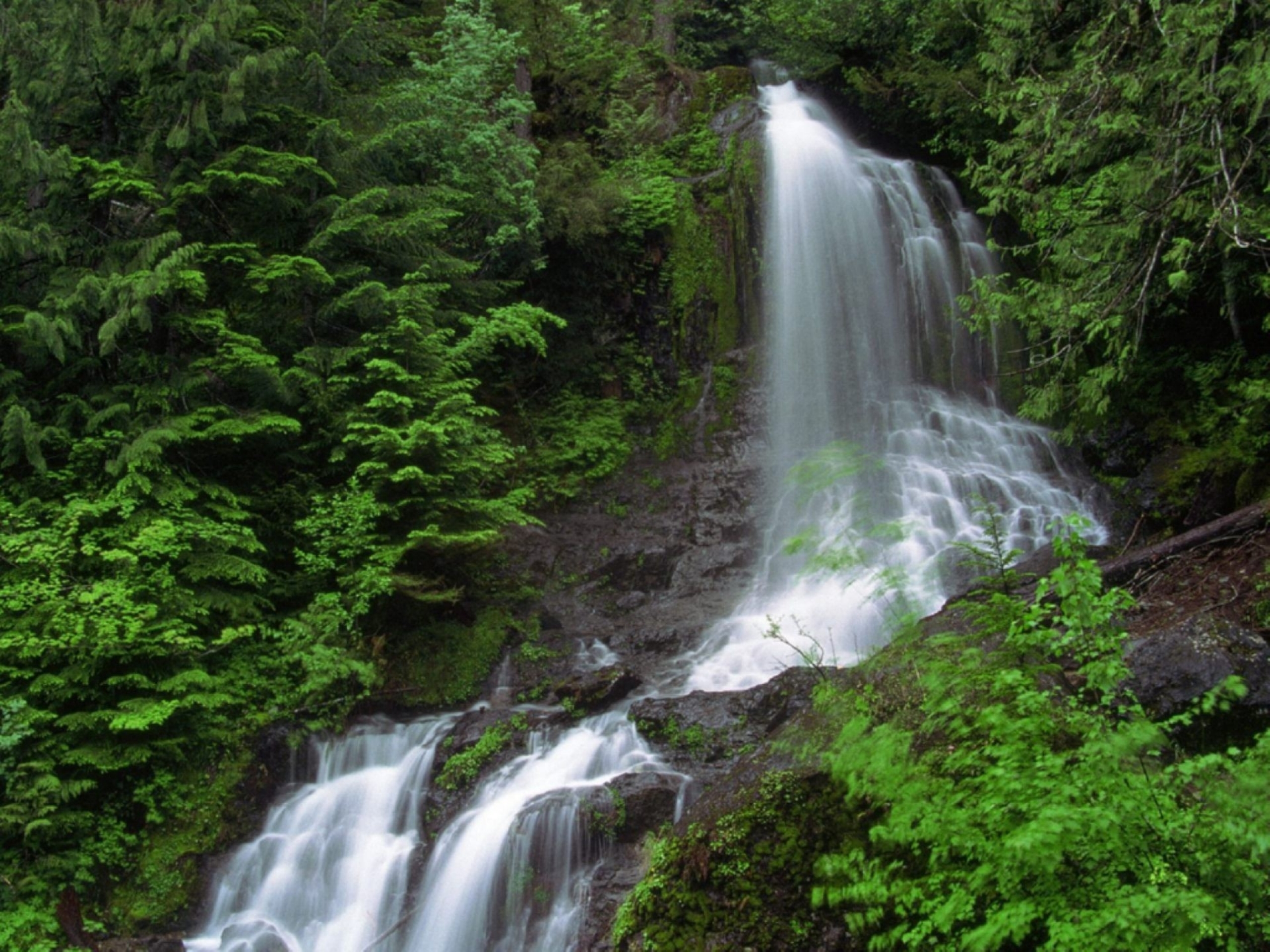 Живая природа города. Живая природа водопады. Красивый водопад в лесу. Водопад фото на рабочий стол. Зеленый водопад.