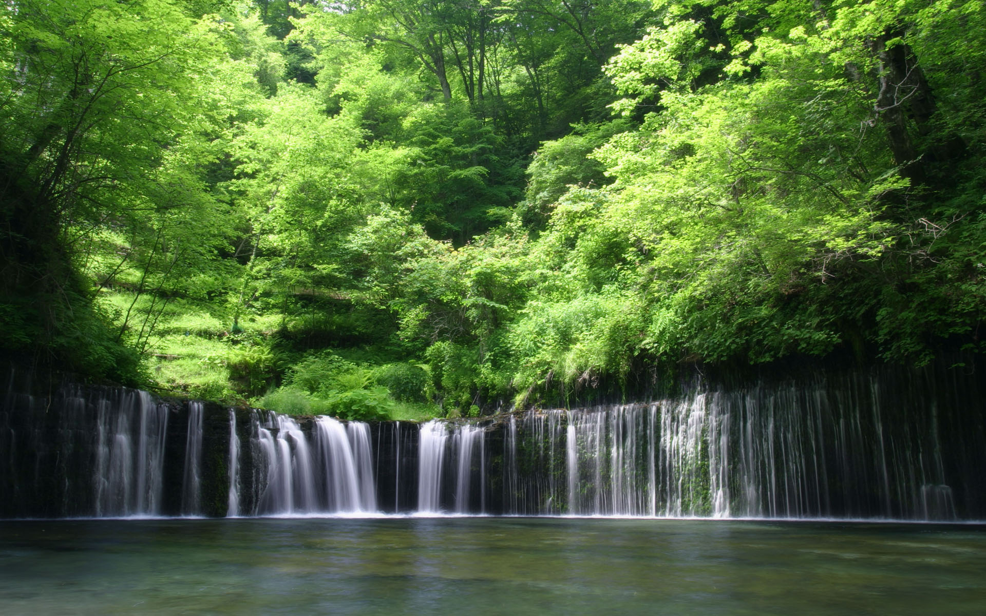 водопад лес waterfall forest скачать