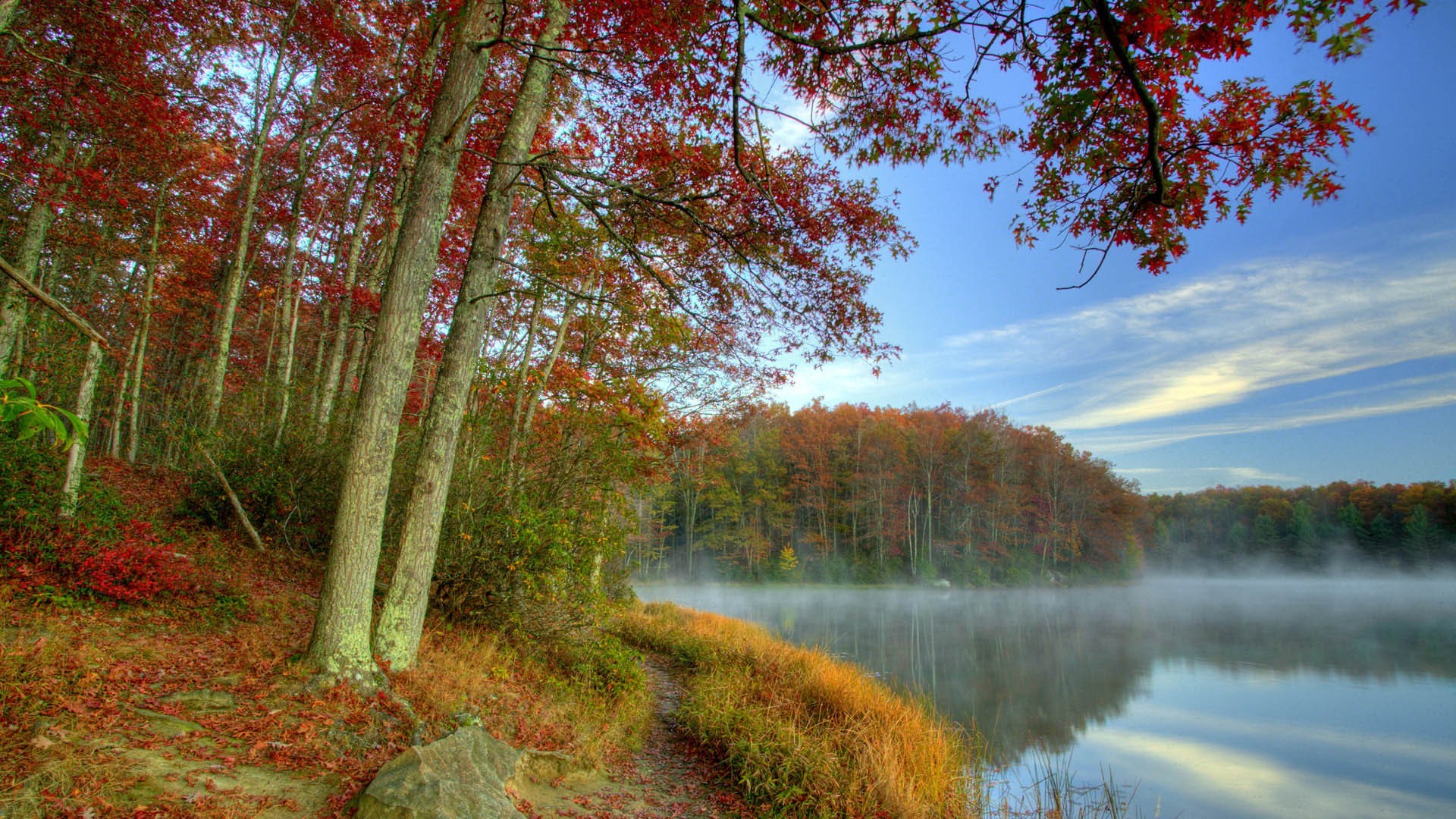 природа озеро деревья лес загрузить